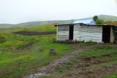 P1030237