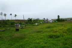 P1030243