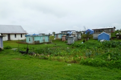 P1030245